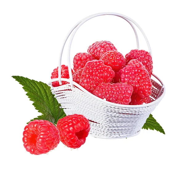 Raspberry Isolated White Background — Stock Photo, Image