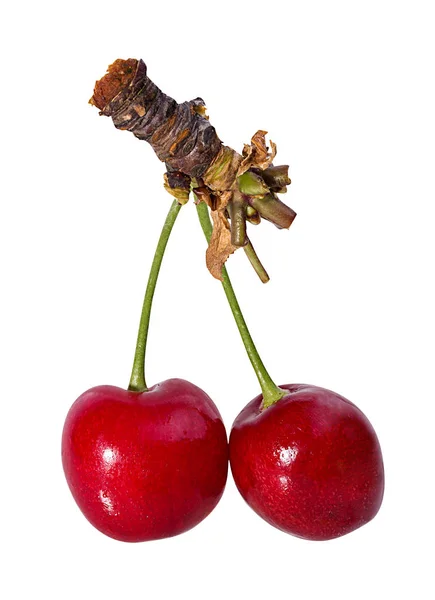 Cherry Elszigetelt Fehér Alapon — Stock Fotó