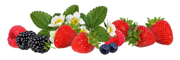 Collection Fresh Berries Isolated White Background — Stock Photo, Image