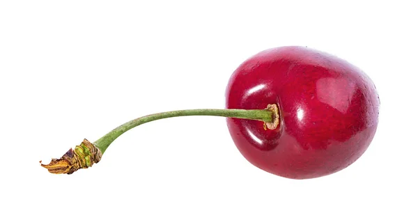 Cherry Elszigetelt Fehér Alapon — Stock Fotó