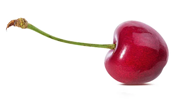 Cereza Aislada Sobre Fondo Blanco — Foto de Stock