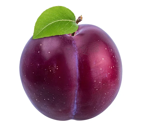 Plum Een Witte Achtergrond — Stockfoto