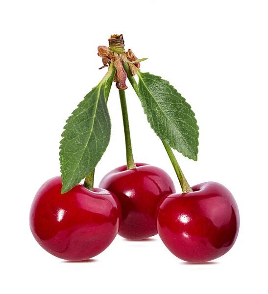 Cherry Dengan Daun Diisolasi Pada Latar Belakang Putih — Stok Foto