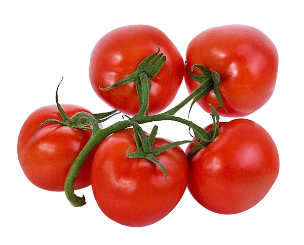 Tomato Isolated White Background — Stock Photo, Image