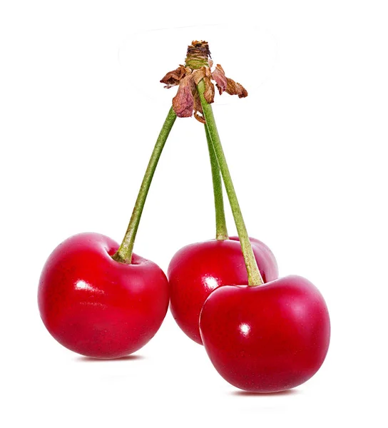 Cherry Izolované Bílém Pozadí — Stock fotografie