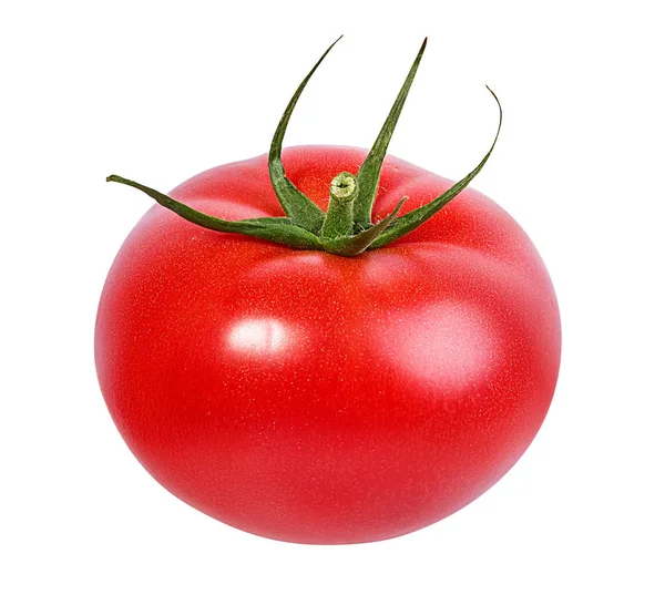 Tomate Isoliert Auf Weißem Hintergrund — Stockfoto