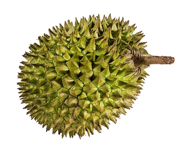 Durian Geïsoleerd Witte Achtergrond — Stockfoto