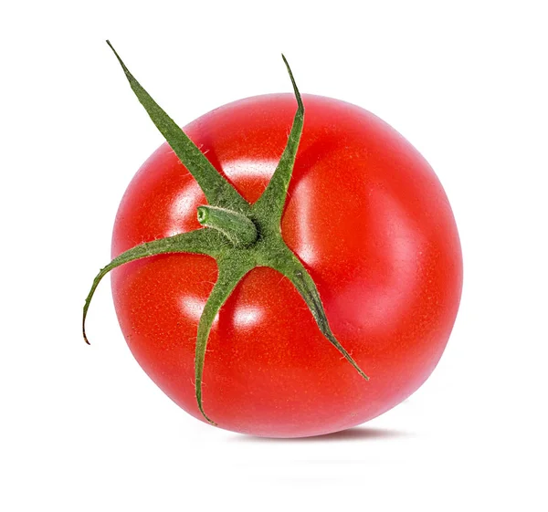 Tomate Isoliert Auf Weißem Hintergrund — Stockfoto