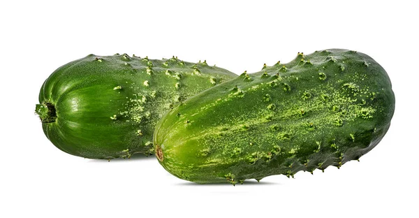 Cucumber Isolated White Background — Stock Photo, Image