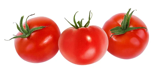 Tomate Isoliert Auf Weißem Hintergrund — Stockfoto