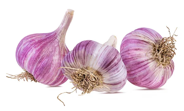 Knoblauch Isoliert Auf Weißem Hintergrund — Stockfoto