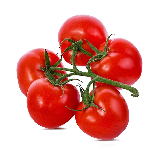 Tomate Isoliert Auf Weißem Hintergrund — Stockfoto