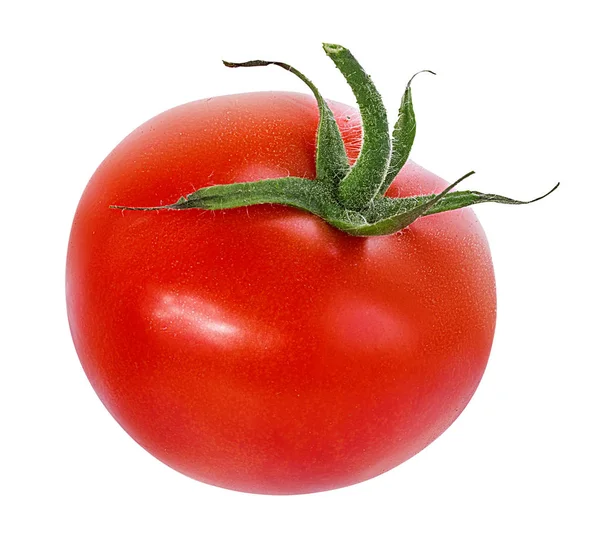 Tomate Isoliert Auf Weißem Hintergrund — Stockfoto