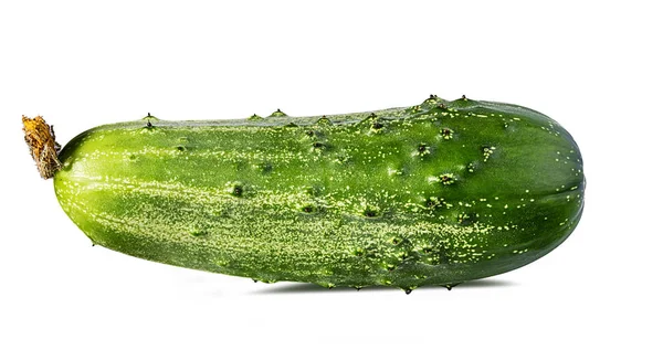 Cucumber Isolated White Background — Stock Photo, Image