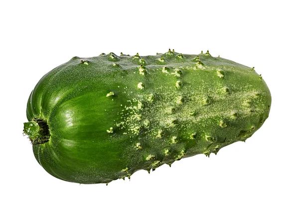 Cucumber Isolated White Background — Stock Photo, Image