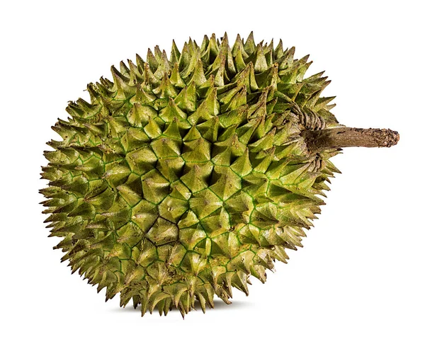 Durian Geïsoleerd Witte Achtergrond — Stockfoto