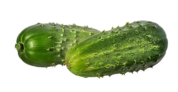 Cucumber Isolated White Background — Stock Photo, Image