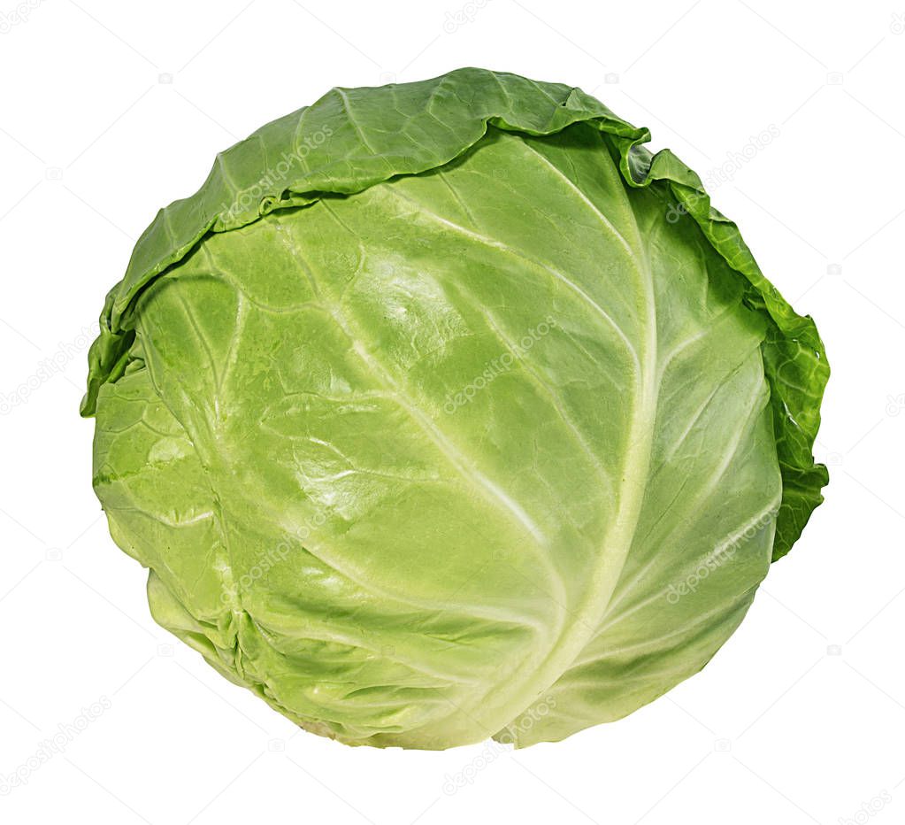 Green cabbage isolated on white background