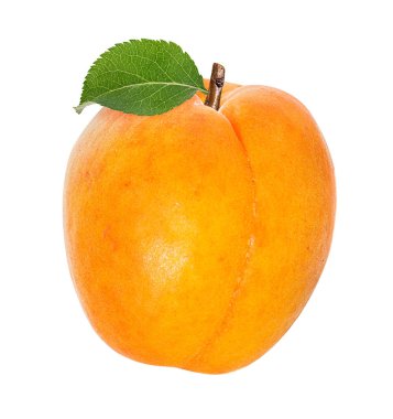 Kayısı beyaz arkaplanda izole edildi