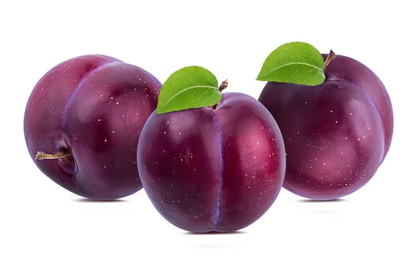 Plum Pada Latar Belakang Putih — Stok Foto