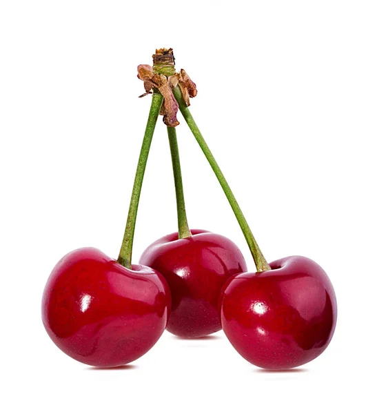 Cherry Elszigetelt Fehér Alapon — Stock Fotó