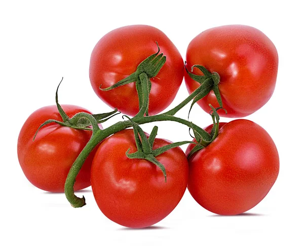 Tomate Isoliert Auf Weißem Hintergrund — Stockfoto