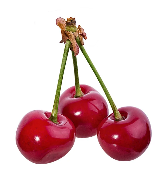 Cherry Elszigetelt Fehér Alapon — Stock Fotó