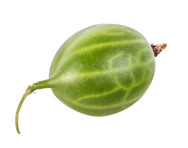 kruisbes geïsoleerd op witte achtergrond