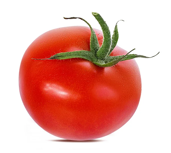 Tomate Isoliert Auf Weißem Hintergrund — Stockfoto