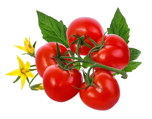 Tomate Aislado Sobre Fondo Blanco — Foto de Stock