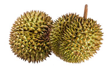 Durian beyaz arkaplanda izole edildi.