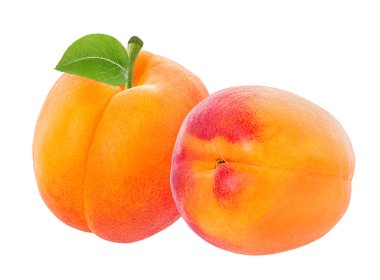 Kayısı beyaz arkaplanda izole edildi