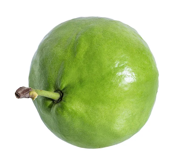 Guava Geïsoleerd Witte Achtergrond — Stockfoto