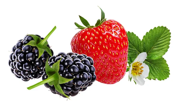 Blackberry Και Φράουλα Που Απομονώνονται Λευκό Φόντο — Φωτογραφία Αρχείου
