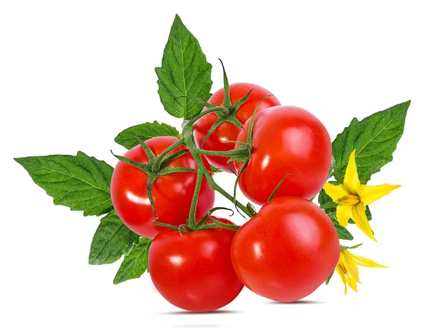 Tomate Isolado Sobre Fundo Branco — Fotografia de Stock