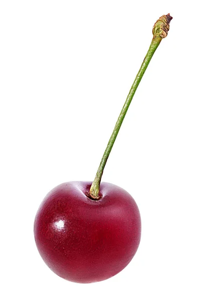Cherry Diisolasi Pada Latar Belakang Putih — Stok Foto