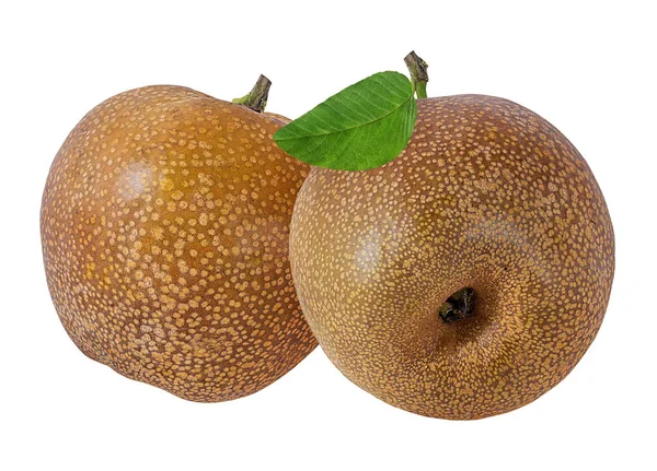 Ασιατικό Αχλάδι Pyrus Pyrifolia Απομονωμένα Λευκό Φόντο — Φωτογραφία Αρχείου