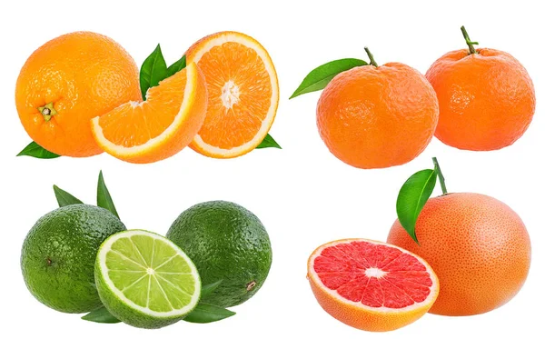 Citrusové Plody Set Pomeranč Grapefruit Vápno Mandarinky Nebo Mandarinky Ovoce — Stock fotografie