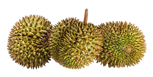 Durian Geïsoleerd Witte Achtergrond — Stockfoto