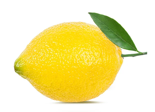 Lemon Isolated White Background — Stock Photo, Image