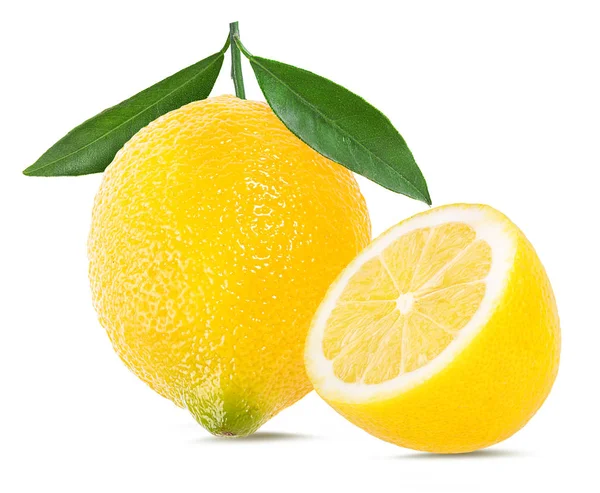 Lemon Isolated White Background — Stock Photo, Image