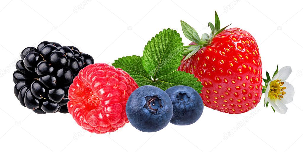 Berries collection. Raspberry,strawberry, blueberry, blackberry  isolated on white.