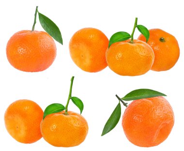 Mandalina ya da mandalina meyvesi beyaz arkaplanda izole