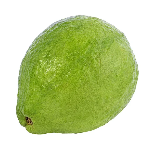 Guava Isolato Sfondo Bianco — Foto Stock