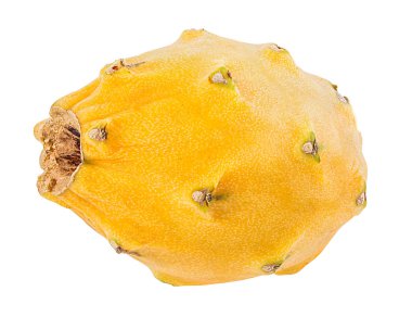 Beyaz arkaplanda Ejder Meyvesi izole