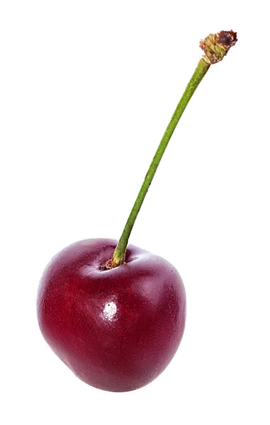 Cherry Elszigetelt Fehér Alapon — Stock Fotó