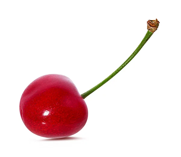 Cherry Dengan Daun Diisolasi Pada Latar Belakang Putih — Stok Foto