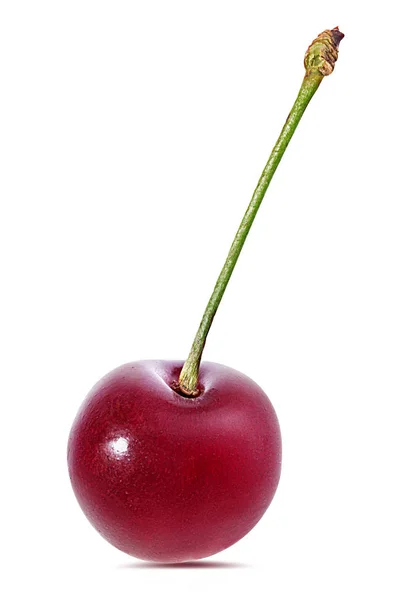 Cherry Isolato Sfondo Bianco — Foto Stock