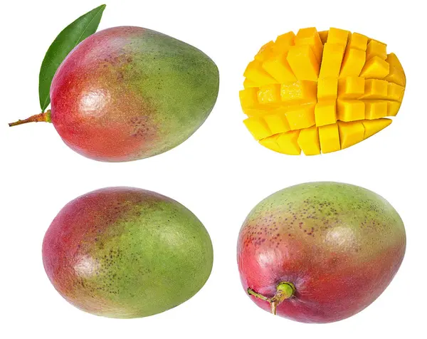Mangovruchten Geïsoleerd Witte Achtergrond — Stockfoto