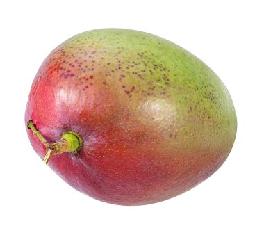 Beyaz arkaplanda yalıtılmış mango meyvesi